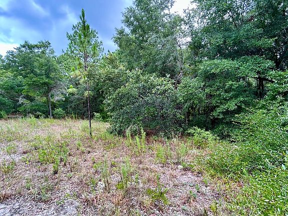 5th image of 5604 W Junior Ln