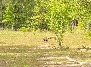 209 Bradley Rd, Carriere, MS 39426