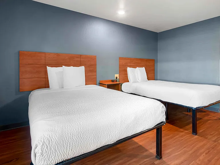Studio Suite - 2 Full Beds