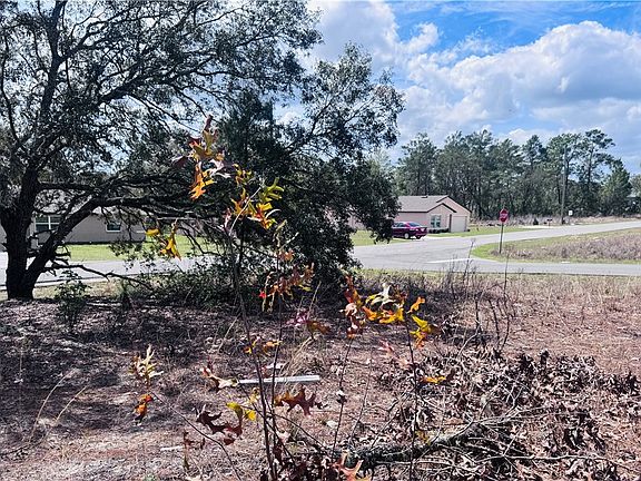 3rd image of 3563 W Eunice Dr