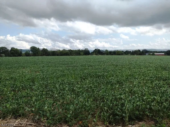 0 SPRING RUN LN, Greenwich Twp., NJ 08886