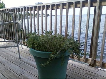 back deck