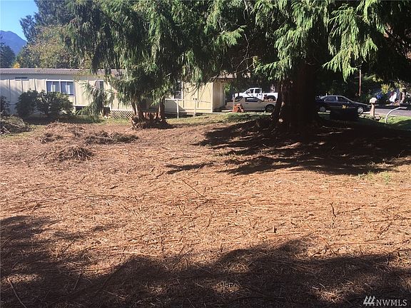 3rd image of 12 Palomino Ln