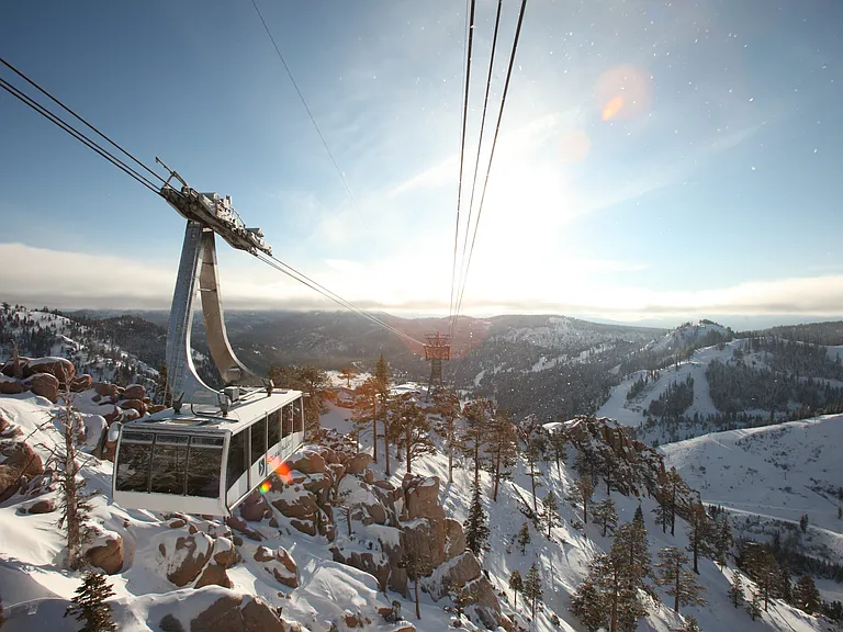 Experience World Class Skiing at Palisades & Alpine Meadows just 15 - 20 minutes from the cabin!