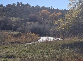 1308 Wrangler Way, Durango, CO 81303