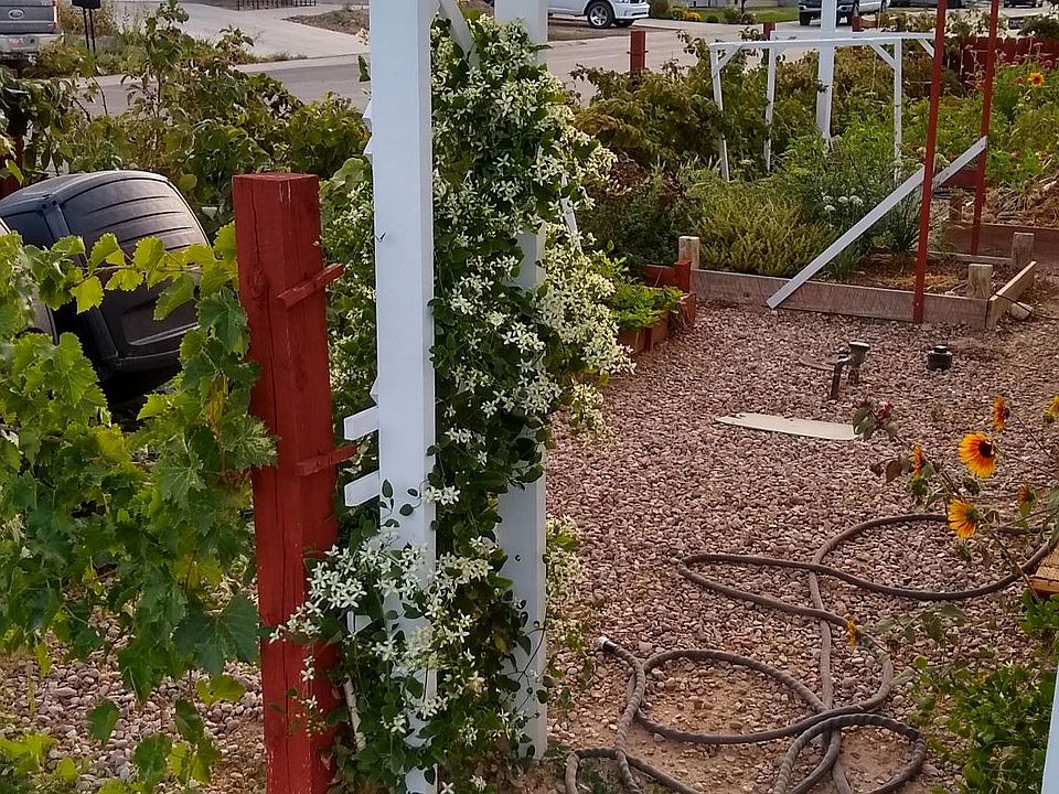 Entrance into side garden plot.