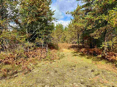 Property photo 35