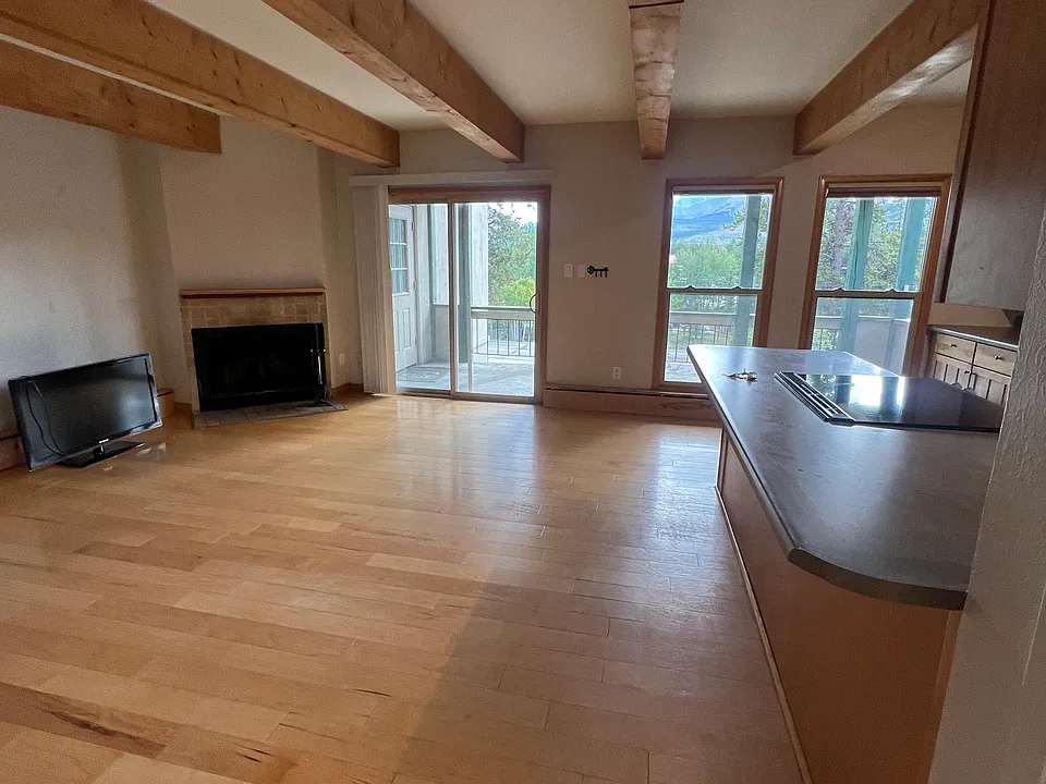 1911 Boreas Pass Rd #6