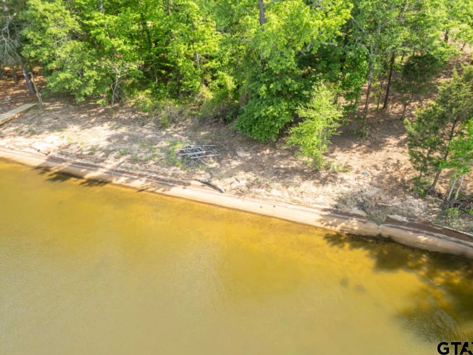 11739 Thousand Pines Cir, Frankston, TX 75763 MLS 23007972 Zillow