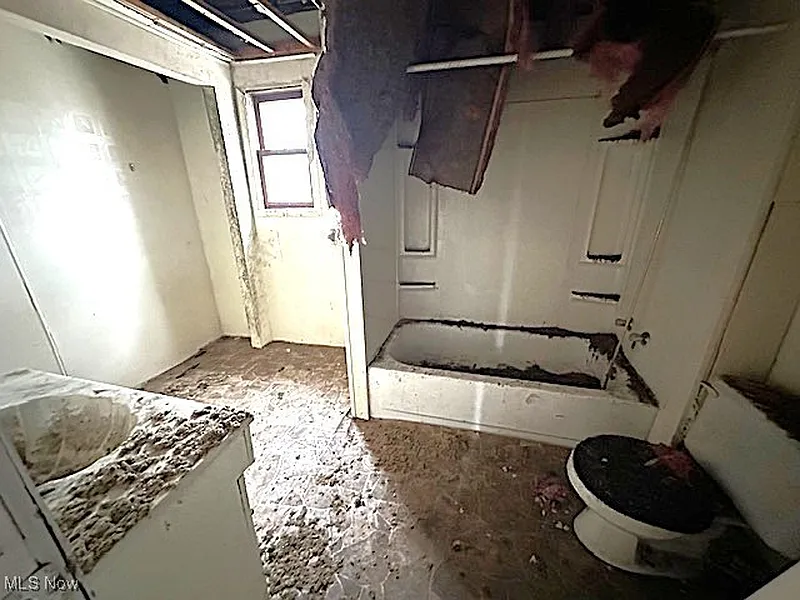Thumbnail 11