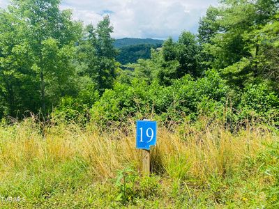 19 Cowan Town Rd, Butler, TN, 37640