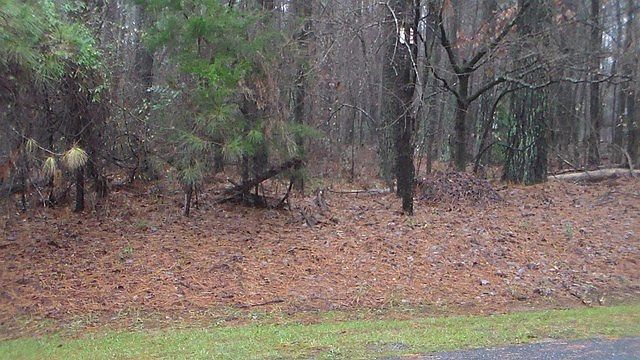 2nd image of Crystal Creek Dr