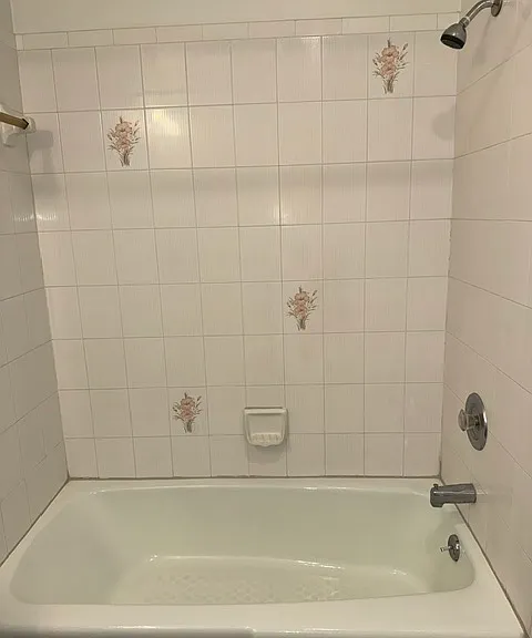 Guest Bath Tub & Shower