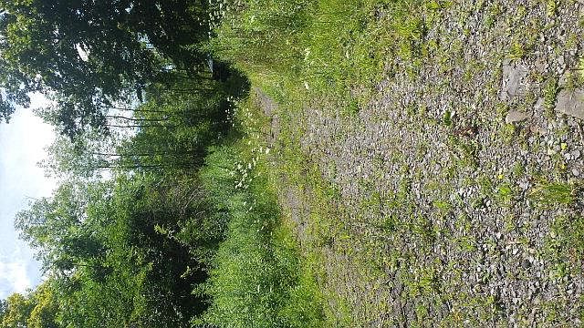 2nd image of 745 Murphy Hill Rd