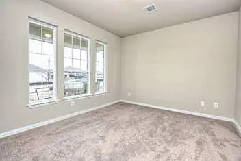 917 Swan Flower St — Photo 13
