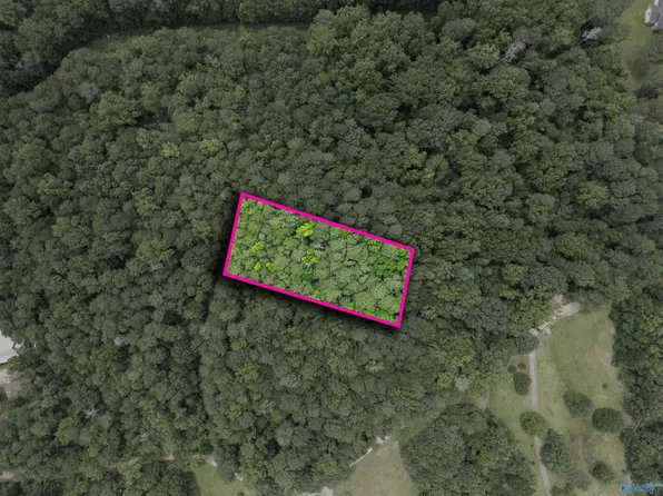 County Road 427, Fort Payne, AL 35967