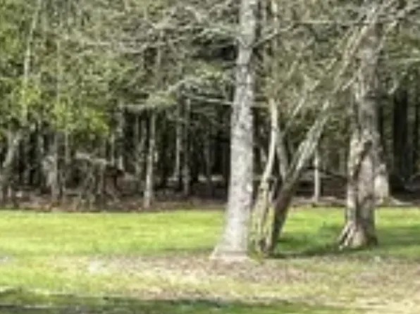 5392 N Gilead Rd, Clinton, LA 70722