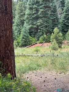 TRACT Spruce Dr LOT 2, Chama, NM, 87520