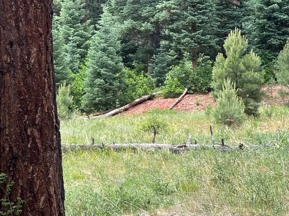 TRACT Spruce Dr Lot 2, Chama, NM 87520
