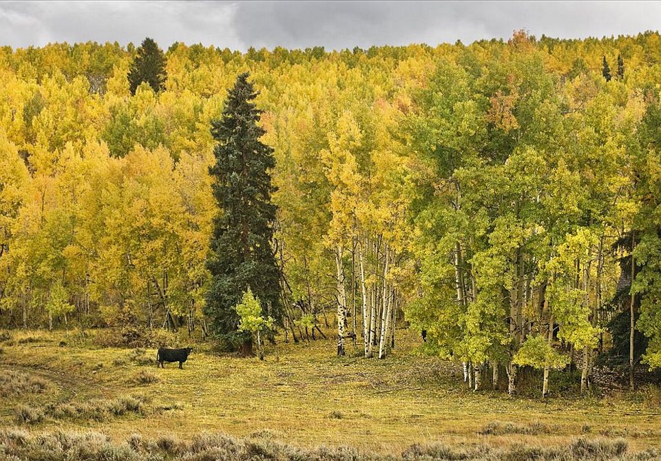 1st image of 1.35 Acre Beautiful