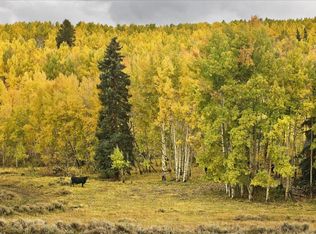 1.35 Acre Beautiful, Oak Creek, CO 80467