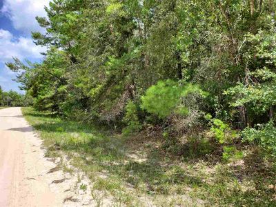 N Whitetail Dr, Perry, FL, 32348