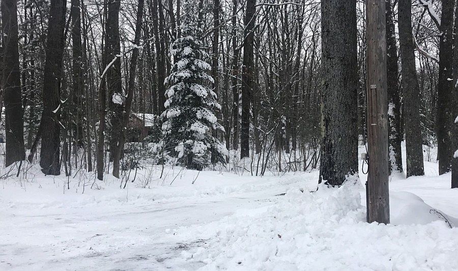2nd image of 11468 Ossineke Rd