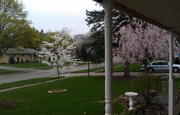 View from front porch