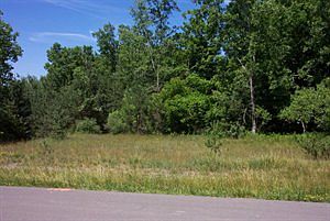 1st image of 38 Scotch Pine Ln