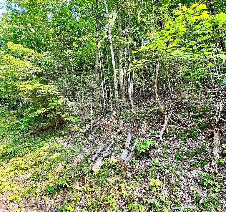 1st image of 0 Rhododendron Ln Lot 640