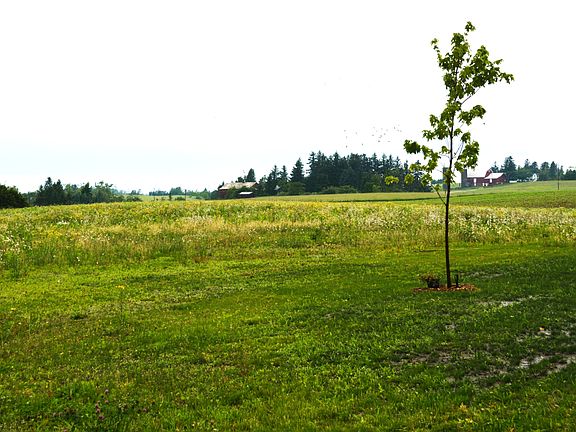 Farmview Lane