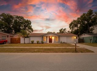 2207 Selkirk St, Valrico, FL 33594
