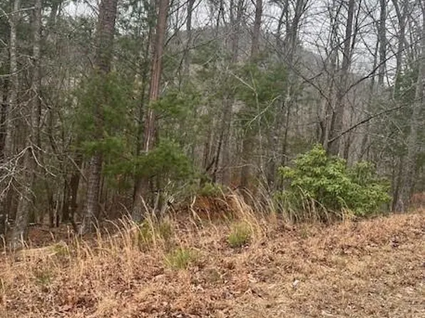 0 Sharp Top Mountain Trl #4A, Jasper, GA 30143