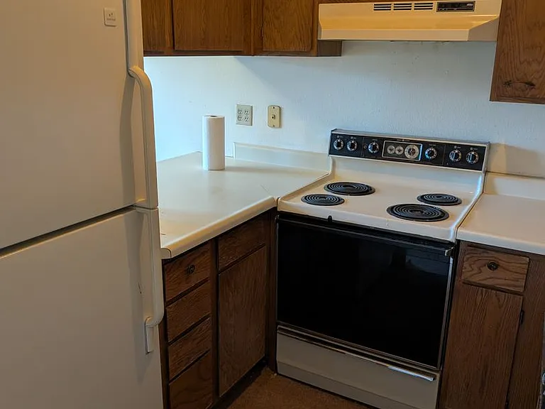 3828 Smoke Tree Dr — Photo 5
