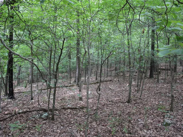 54580 E 355th Rd, Jay, OK 74346