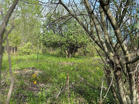 3rd image of 0 Deer Pond Acres Lot 38