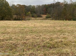 516 Arkabutla Dam Rd, Coldwater, MS 38618