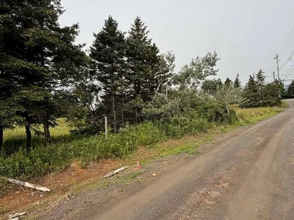 4-6 Lahey's Lane, Wabana, NL A0A1H0