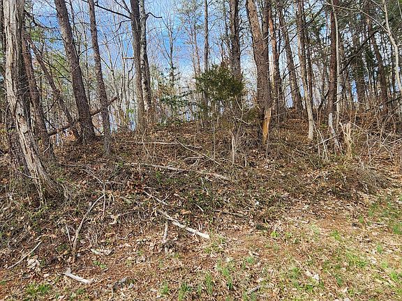 2nd image of LOT 4 Maynardville Hwy