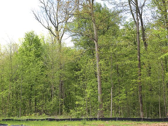 4th image of 1001 Windsor Estates Ct