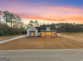 226 Bald Cypress Ct, Statesboro, GA 30458