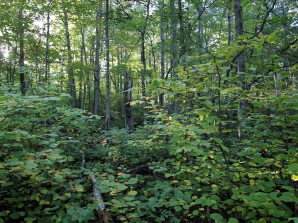 L3 B13 Wb15 Winter Trl, Pequot Lakes, MN 56472