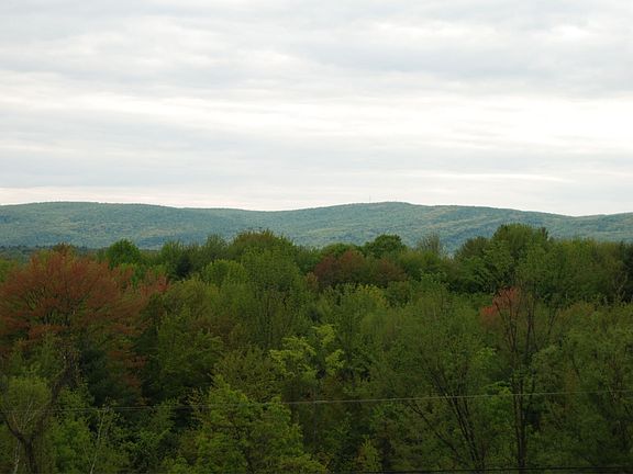 Kayaderosseras Ridge from 147 Greened Rd.