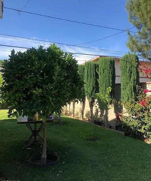 3583 E Del Mar Blvd — Photo 20