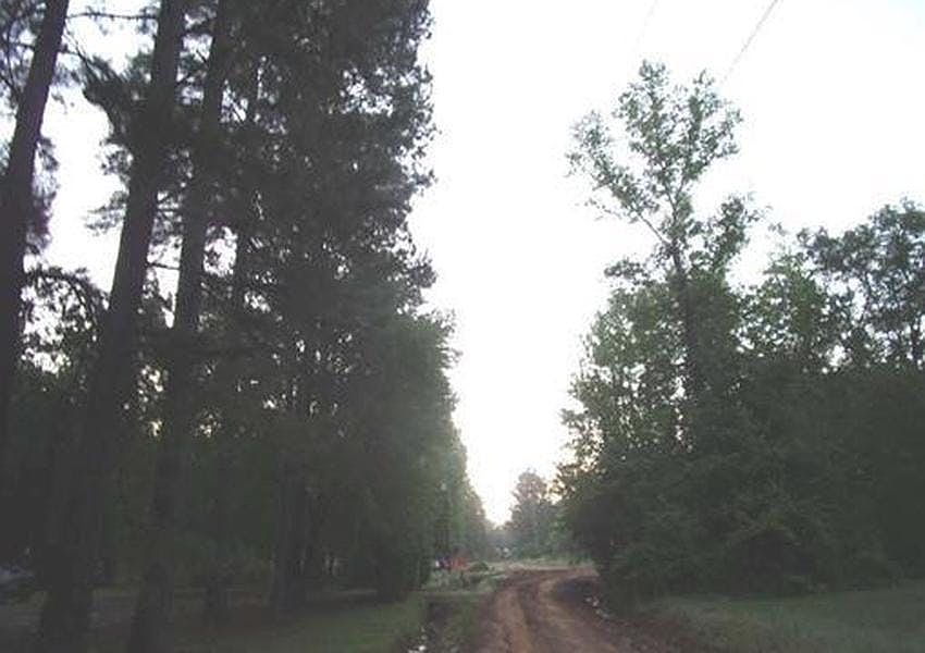 2nd image of 175 Hickory Rd