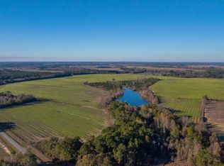 0 Hinsonton Rd, Meigs, GA 31765