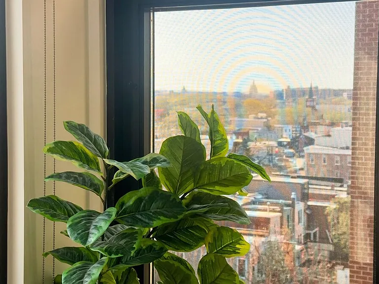 Window View