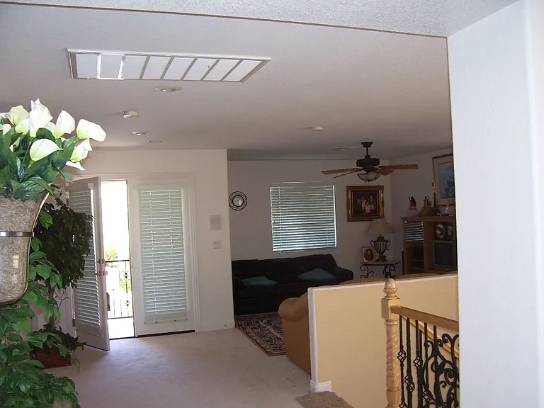 3316 Lacebark Pine St — Photo 24