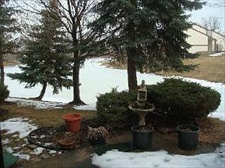 3rd image of 107 Dahlia Ct