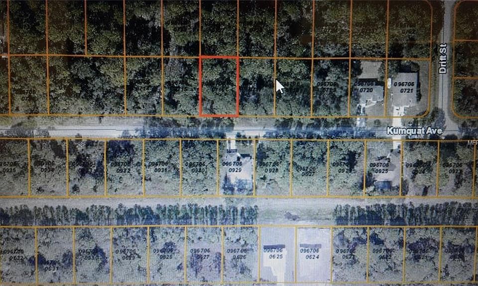 2nd image of Kumquat Ave